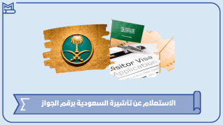 الاستعلام عن تأشيرة السعودية برقم الجواز