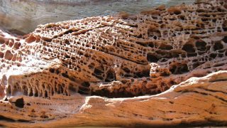 جميع العوامل التاليه يمكن ان تسبب التجويه ماعدا