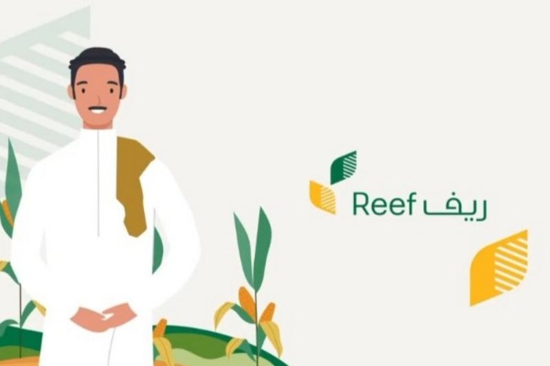 شروط برنامج التنمية الريفية الزراعية المستدامة