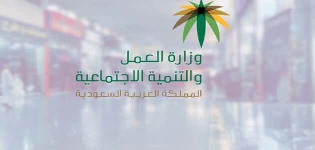 الاستعلام عن المستفيدين من الضمان الاجتماعي في السجل المدني فقط