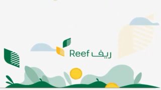 شروط دعم ريف لربات البيوت