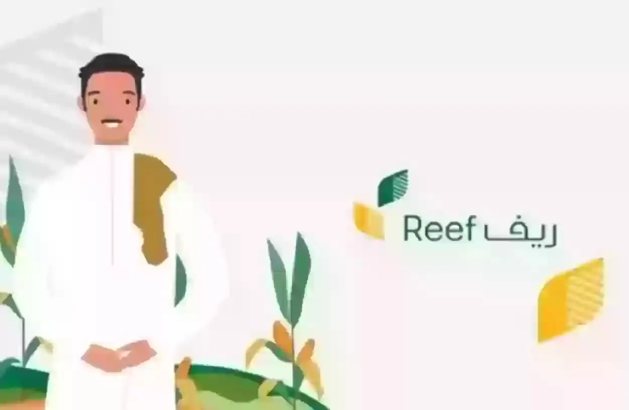 متى ينزل دعم ريف هذا الشهر؟