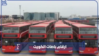 ارقام باصات الكويت