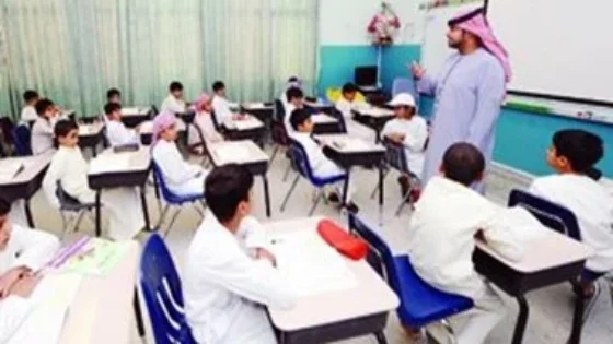 كل ما تحتاج معرفته عن المدارس الحكومية والخاصة في الإمارات